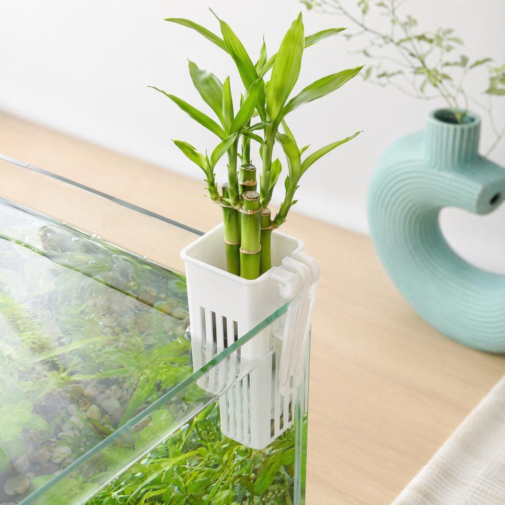 Aquarium Planted Wall - Tank Plant Container Hydroponic Cup Plant