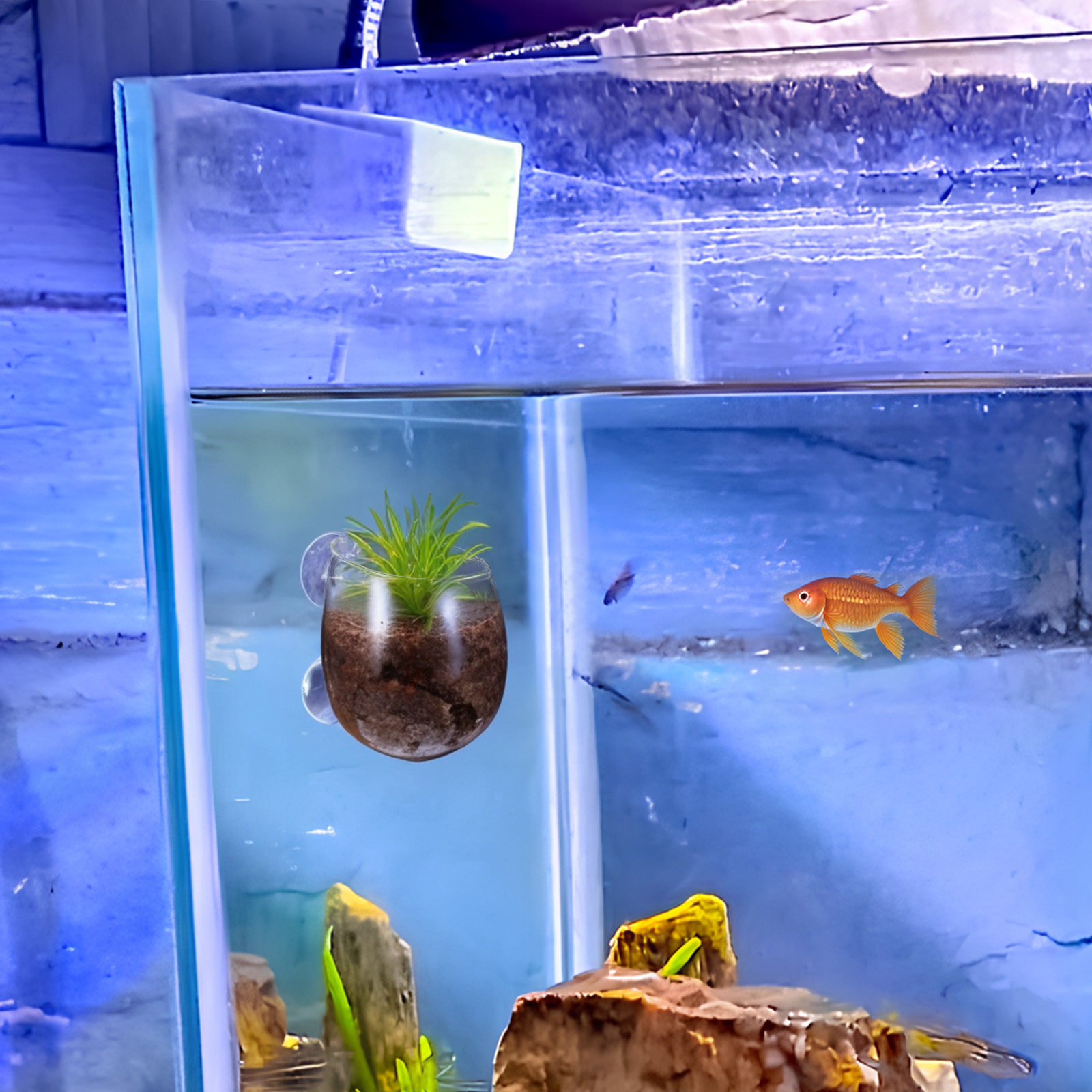 Aquarium Planted Wall - 2Pcs Aquarium Planter Cups Clear Glass