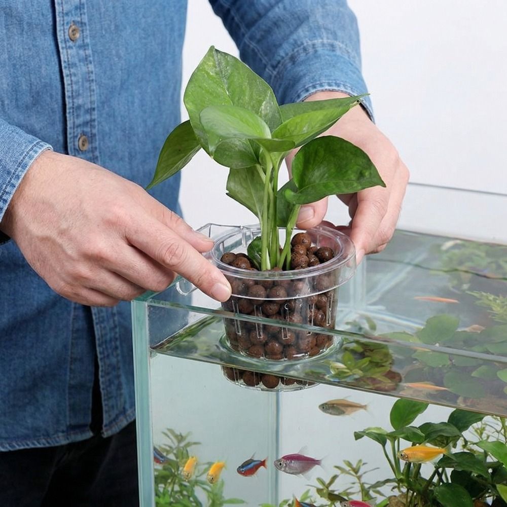 Aquarium Planted Wall - Transparent Fish Tank Grass Cup Round