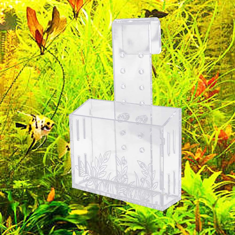 Wall Hanging Aquarium Plants C - Aquarium Planted Wall ulasan dan harga