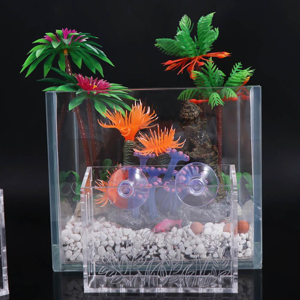 Wall Hanging Aquarium Plants C - Aquarium Planted Wall ulasan dan harga