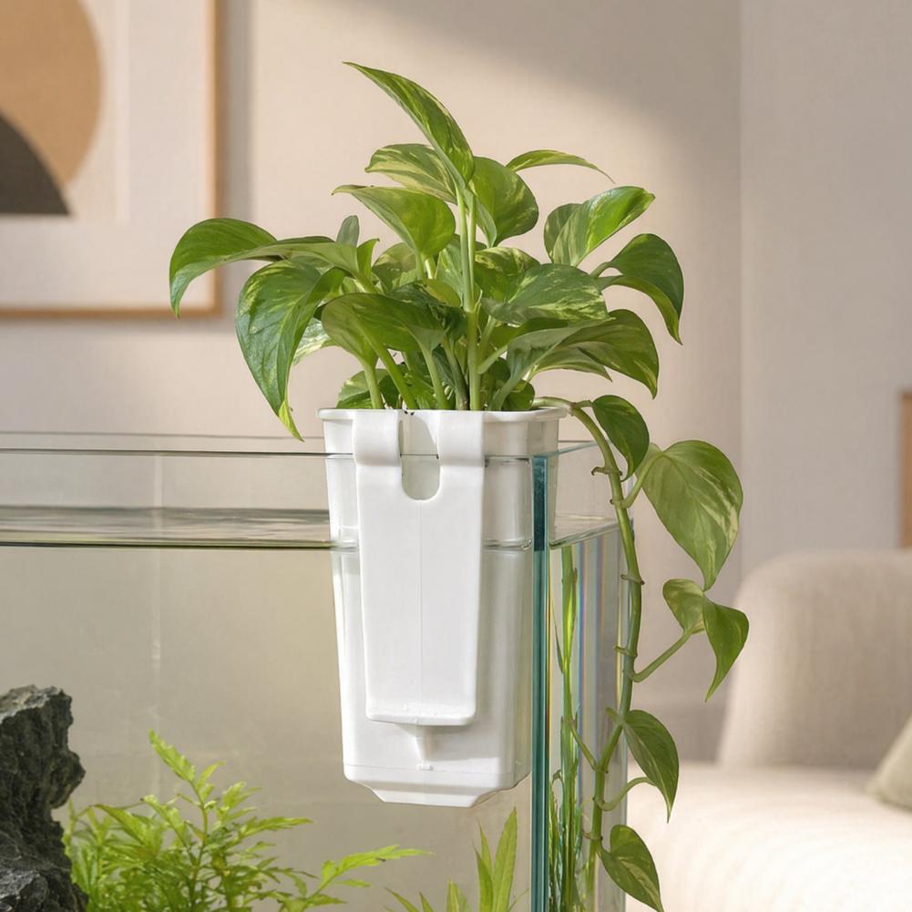 Tank Plant Container Hydroponi - Aquarium Planted Wall ulasan dan harga