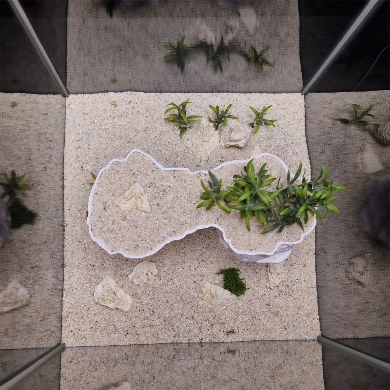 Aquarium 3D Printed Planting B - Aquarium Planted Tank Soil ulasan dan harga