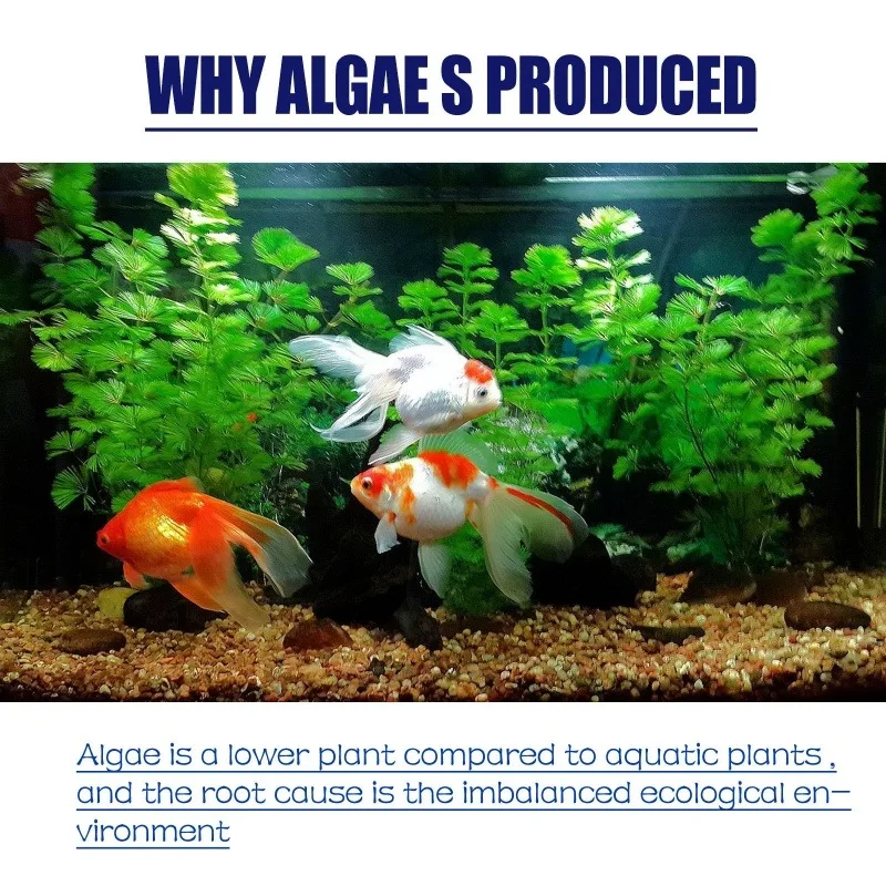 50g High Efficiency Algaecide  - Aquarium Plant Fertilizer ulasan dan harga
