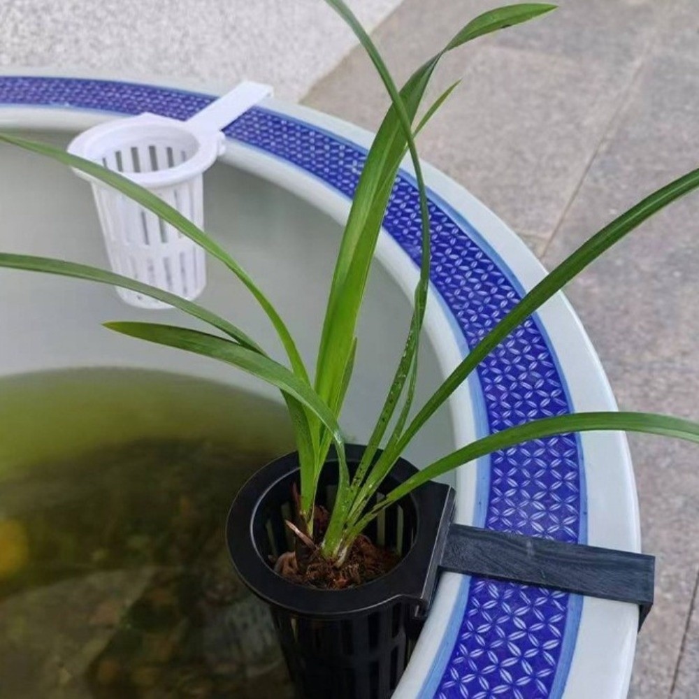 Wall-Mounted Aquarium Plant Ba - Aquarium Planted Wall ulasan dan harga