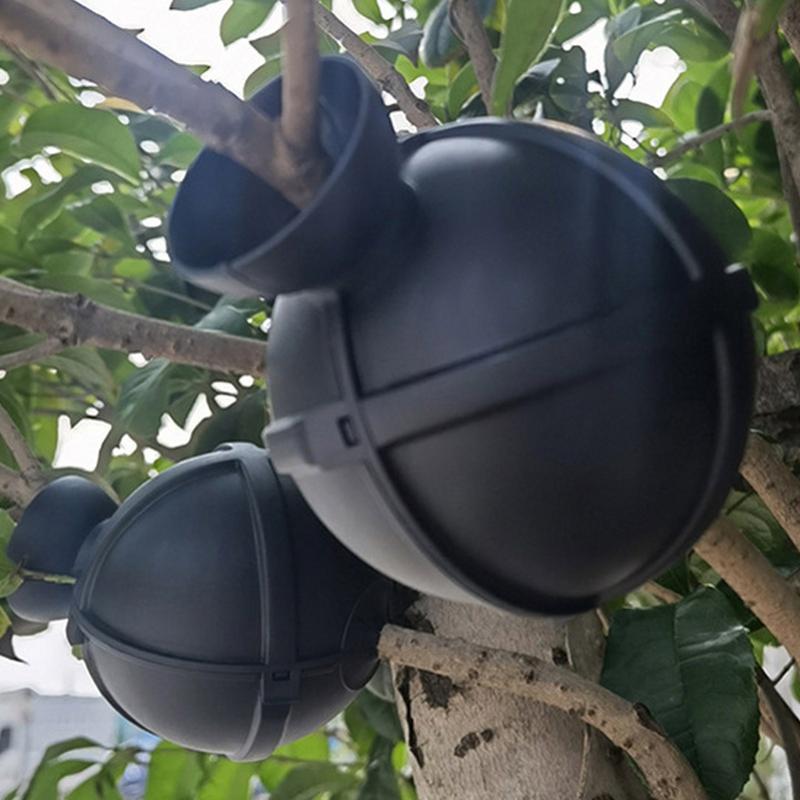 Propagation Ball Air Layering  - Aquasoil Substrate ulasan dan harga