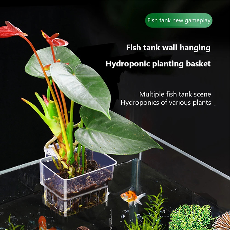 New【Hanging Aquarium Planter C - Aquarium Planted Wall ulasan dan harga