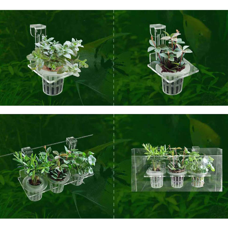 Fish Tank Planting Cups Hydrop - Aquarium Planted Wall ulasan dan harga