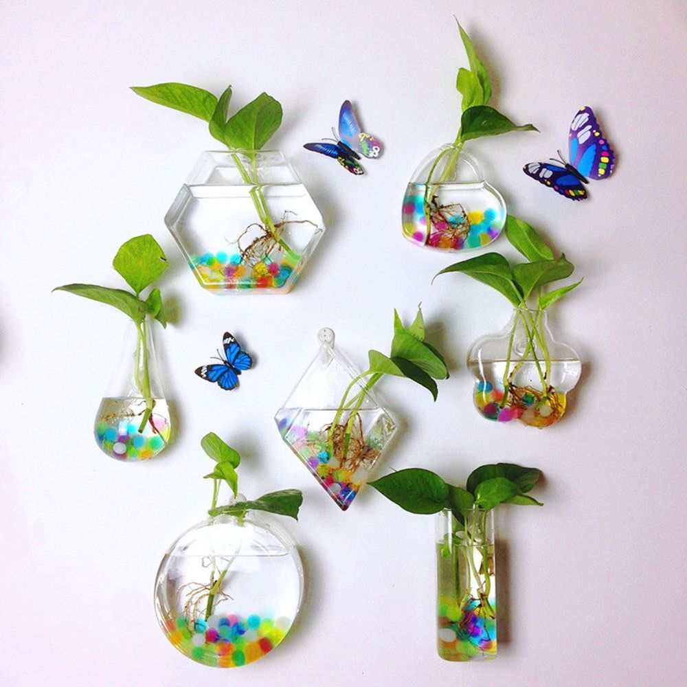 Cone Shape Wall Hanging Vase H - Aquarium Planted Wall ulasan dan harga
