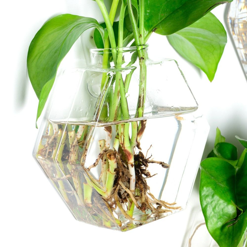 Cone Shape Wall Hanging Vase H - Aquarium Planted Wall ulasan dan harga