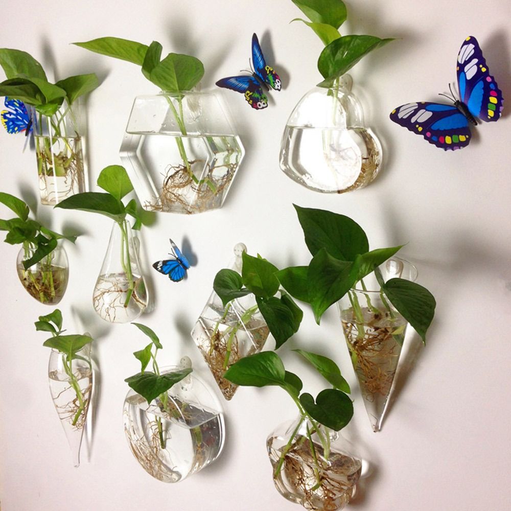 Cone Shape Wall Hanging Vase H - Aquarium Planted Wall ulasan dan harga