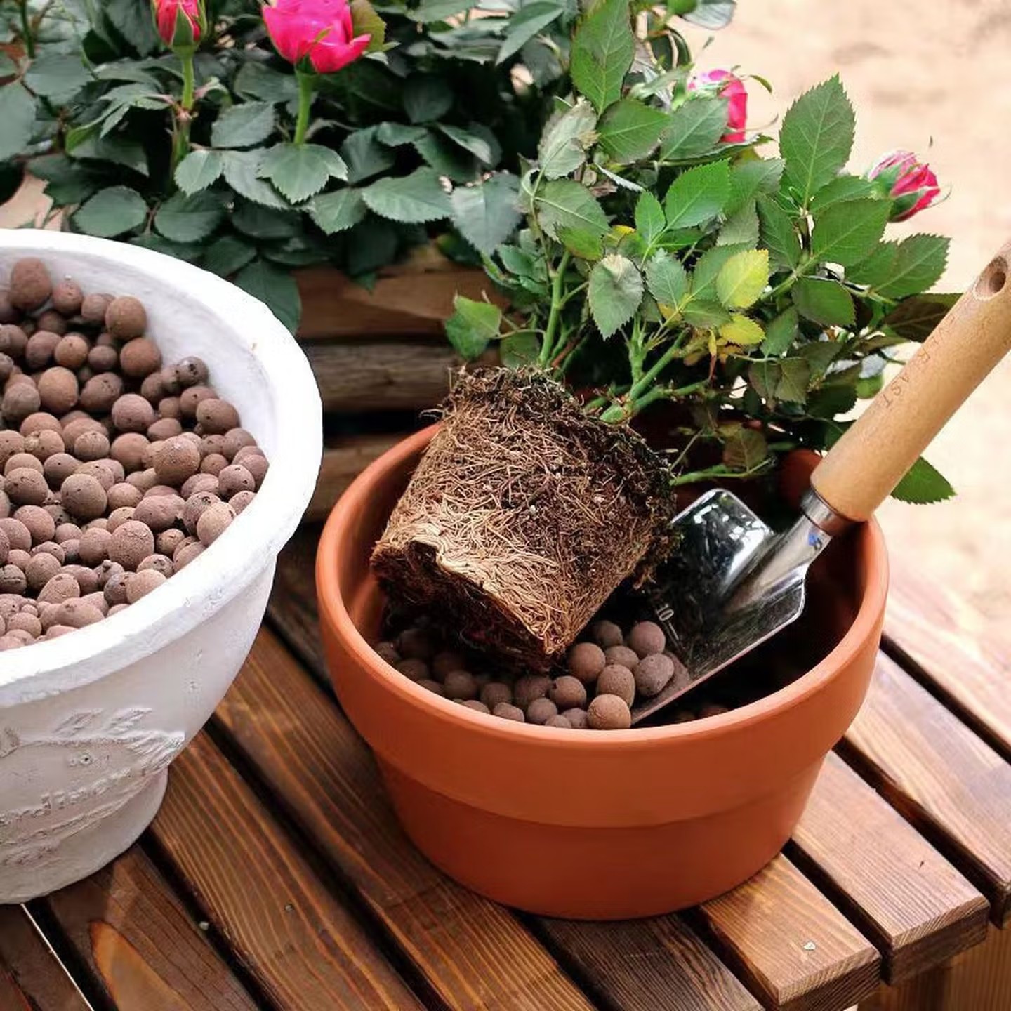 100-500g Reusable Hydroponic C - Aquasoil Substrate ulasan dan harga