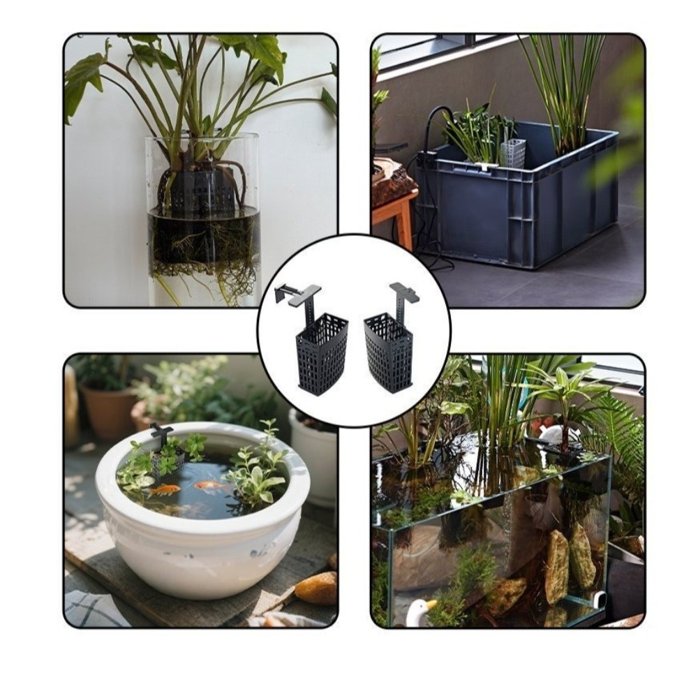 Wall Hanging Aquatic Plant Hol - Aquarium Planted Wall ulasan dan harga