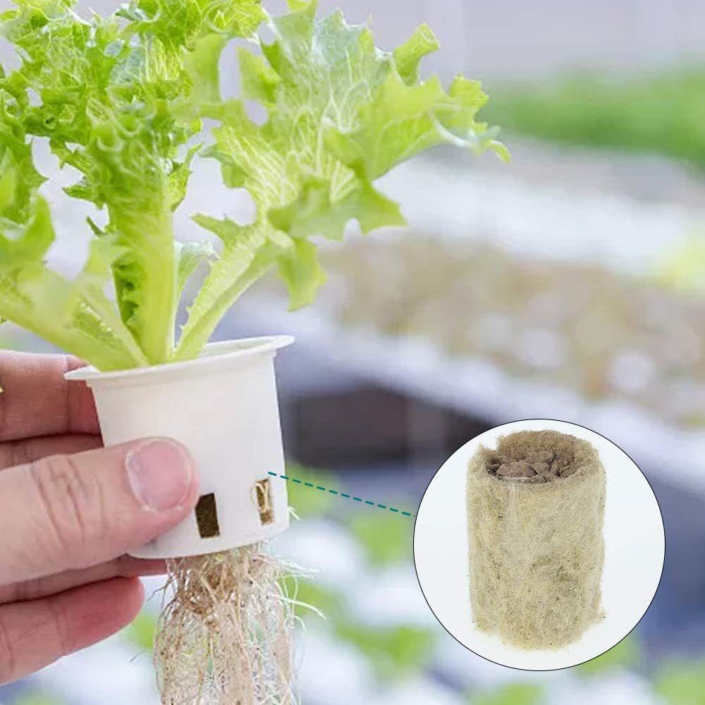 50PCS 27*20mm Size Hydroponic  - Aquasoil Substrate ulasan dan harga