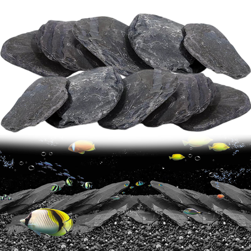 500g/1000g Aquarium Slate Chip - Aquasoil Substrate ulasan dan harga