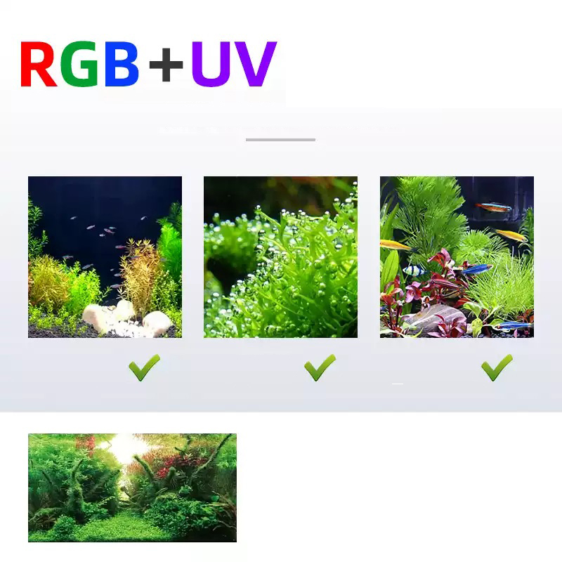 Week Aqua L Series WRGB UV Ful - Planted Aquarium Accessories ulasan dan harga
