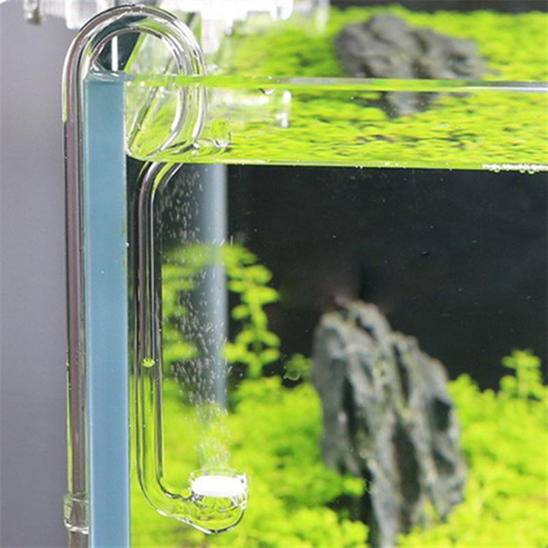 Glass CO2 Diffuser Transparent - Glass Co2 Drop Checker ulasan dan harga