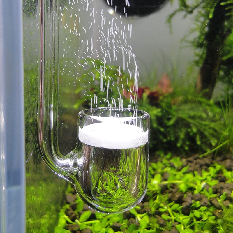 Glass CO2 Diffuser Transparent - Glass Co2 Drop Checker ulasan dan harga