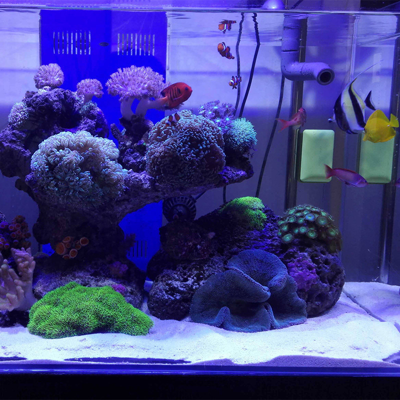 WAJABABY White Aquarium Sand - - Aquasoil Substrate ulasan dan harga