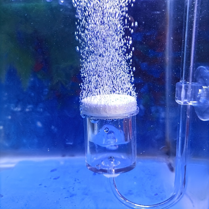 Aquarium Glass CO2 Atomizer Di - Planted Aquarium Accessories ulasan dan harga