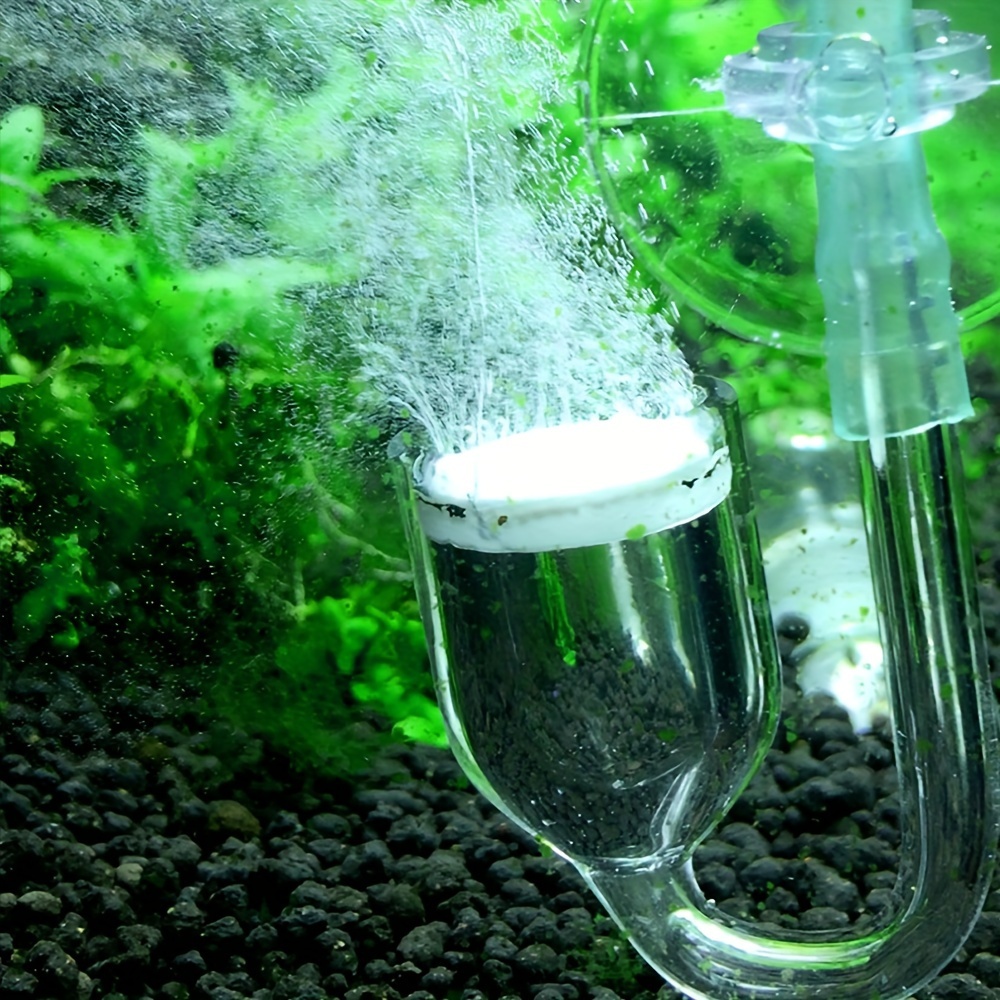 Aquarium Glass CO2 Atomizer Di - Planted Aquarium Accessories ulasan dan harga