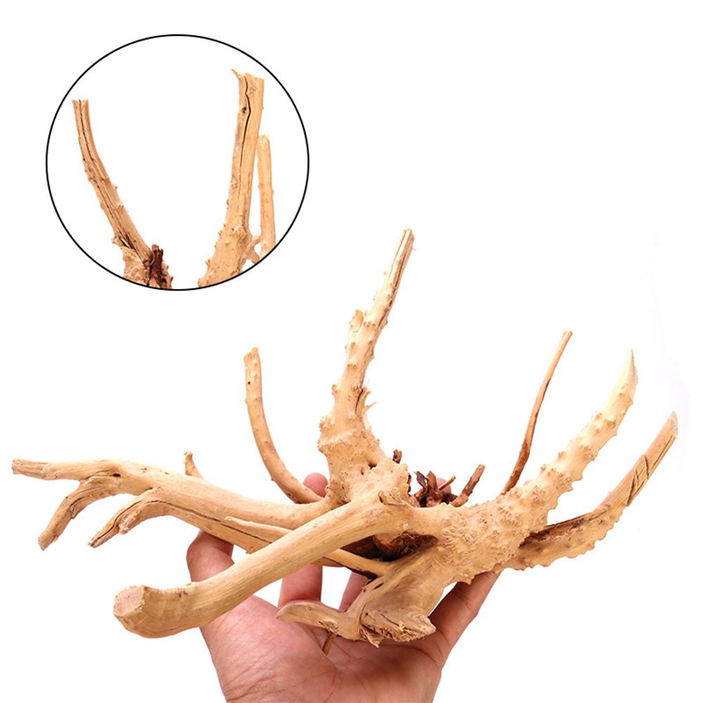 1 Pcs Wood Reptile Fish Tank O - Aquarium Plant Roots ulasan dan harga