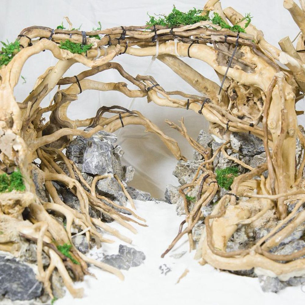 1 Pcs Wood Reptile Fish Tank O - Aquarium Plant Roots ulasan dan harga