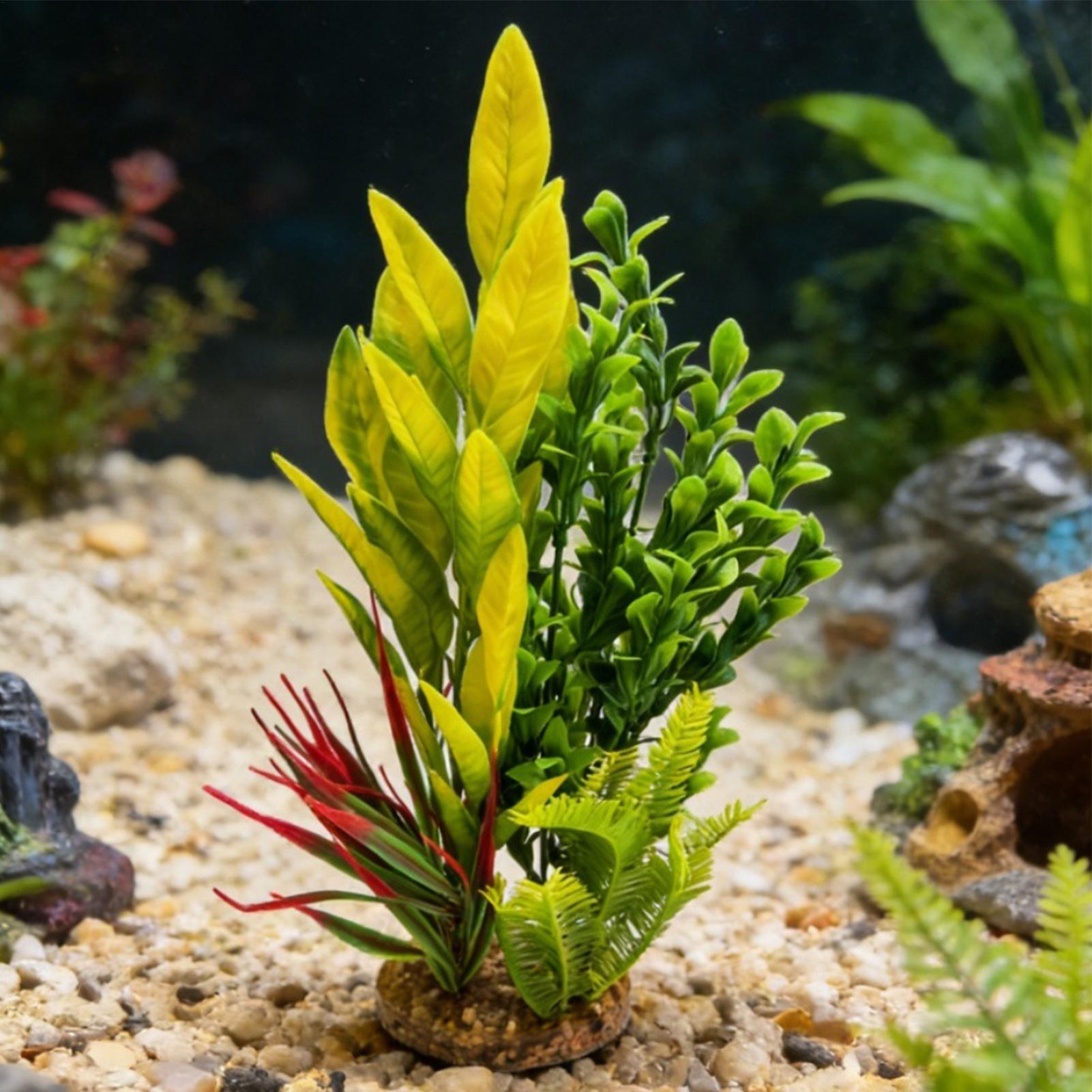 Artificial Aquarium Plants Shr - Planted Aquarium For Beginners ulasan dan harga
