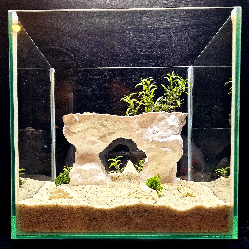 3D Printed Aquarium Planting B - Aquarium Planted Tank Soil ulasan dan harga