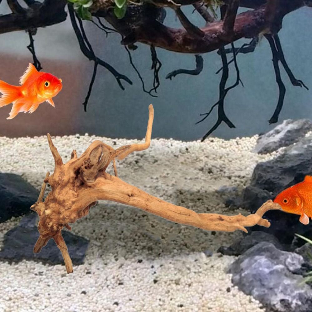 Natural Tree Trunk Aquarium De - Aquarium Plant Roots ulasan dan harga