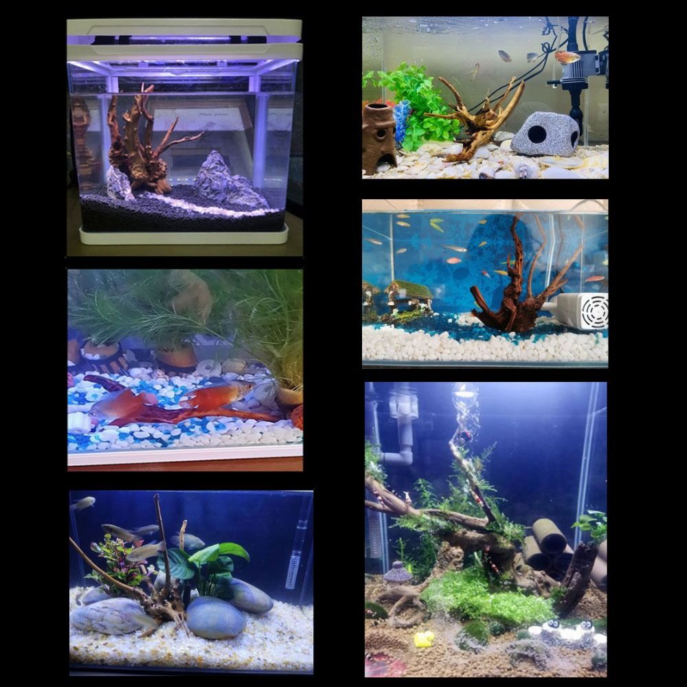 Natural Tree Trunk Aquarium De - Aquarium Plant Roots ulasan dan harga