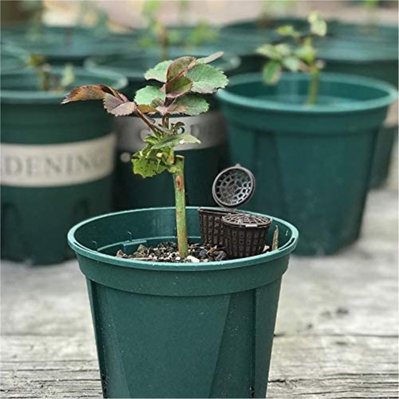 ABUH-Garden Nursery Fertilizer - Aquarium Plant Fertilizer ulasan dan harga