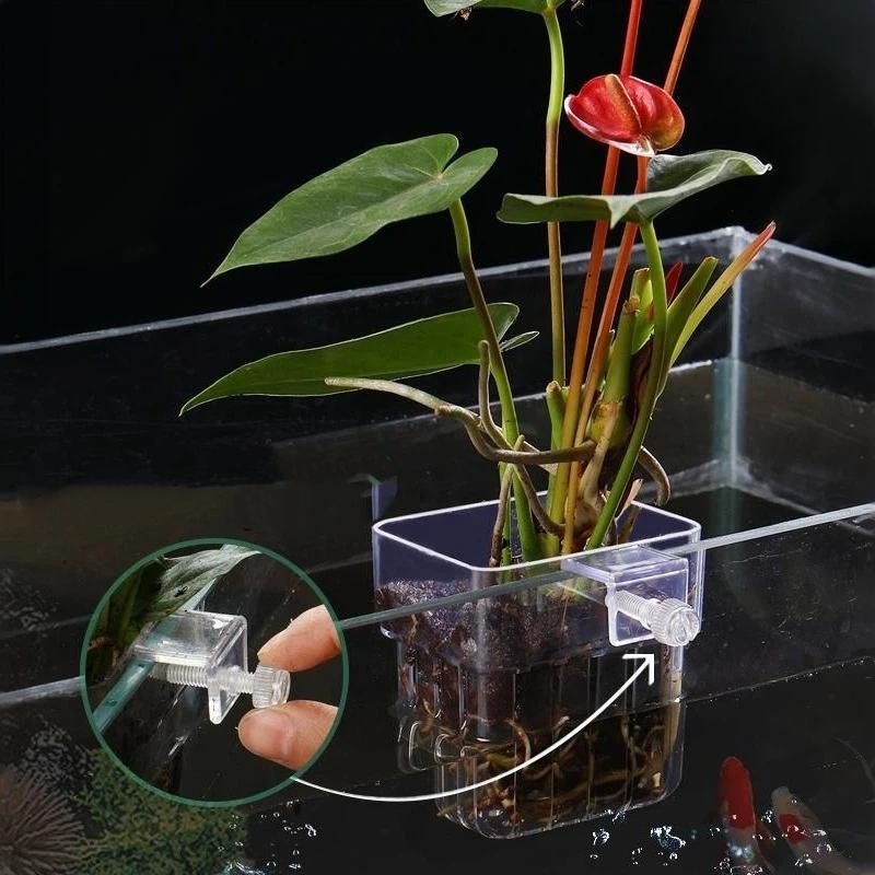 Clear Hangable Aquarium Plant  - Aquarium Plant Easy To Grow ulasan dan harga