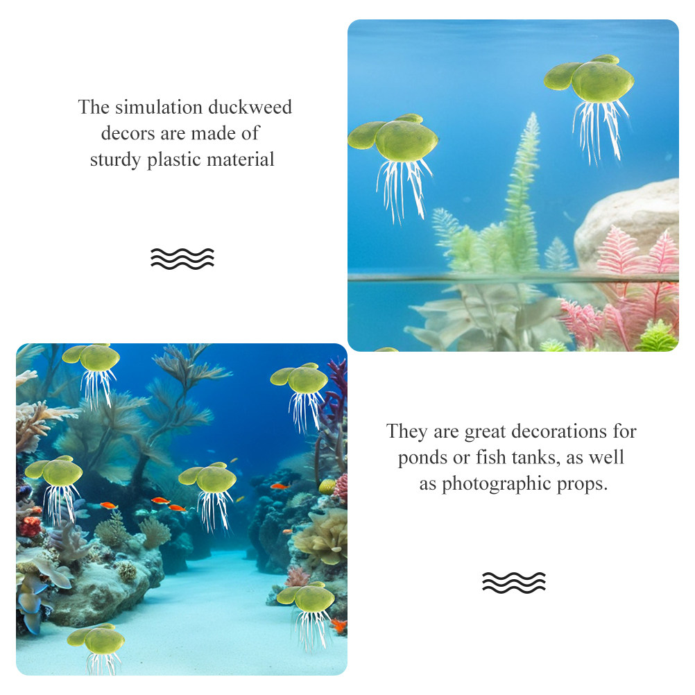 Aquarium Plants Freshwater Beg - Planted Aquarium For Beginners ulasan dan harga