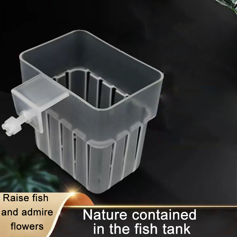 Aquarium Transparent Hydroponi - Aquarium Planted Wall ulasan dan harga