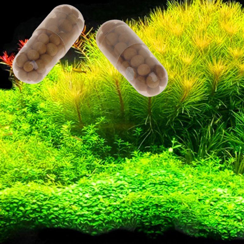 QX2E Aquarium Live Plant Ferti - Aquasoil Substrate ulasan dan harga