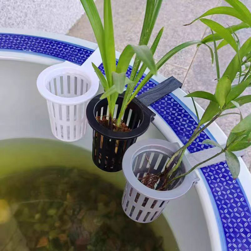 1/3Pcs Aquarium Plant Basket W - Aquarium Planted Wall ulasan dan harga