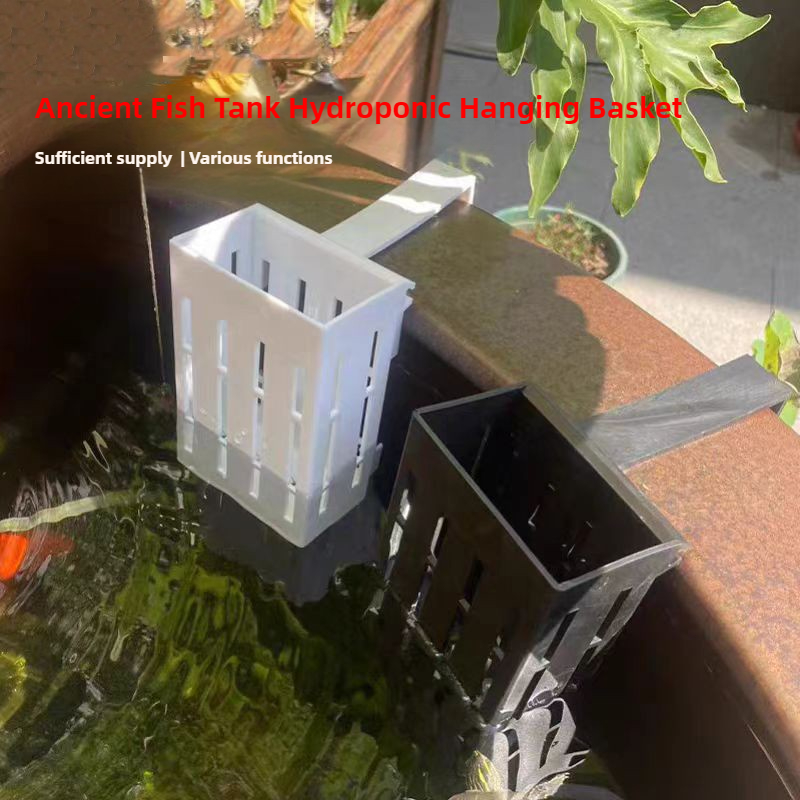1/3Pcs Aquarium Plant Basket W - Aquarium Planted Wall ulasan dan harga
