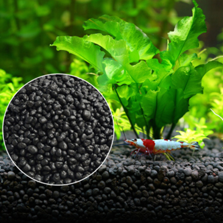 Aquarium Plant Seeds Soil Fish - Aquarium Plant Fertilizer ulasan dan harga