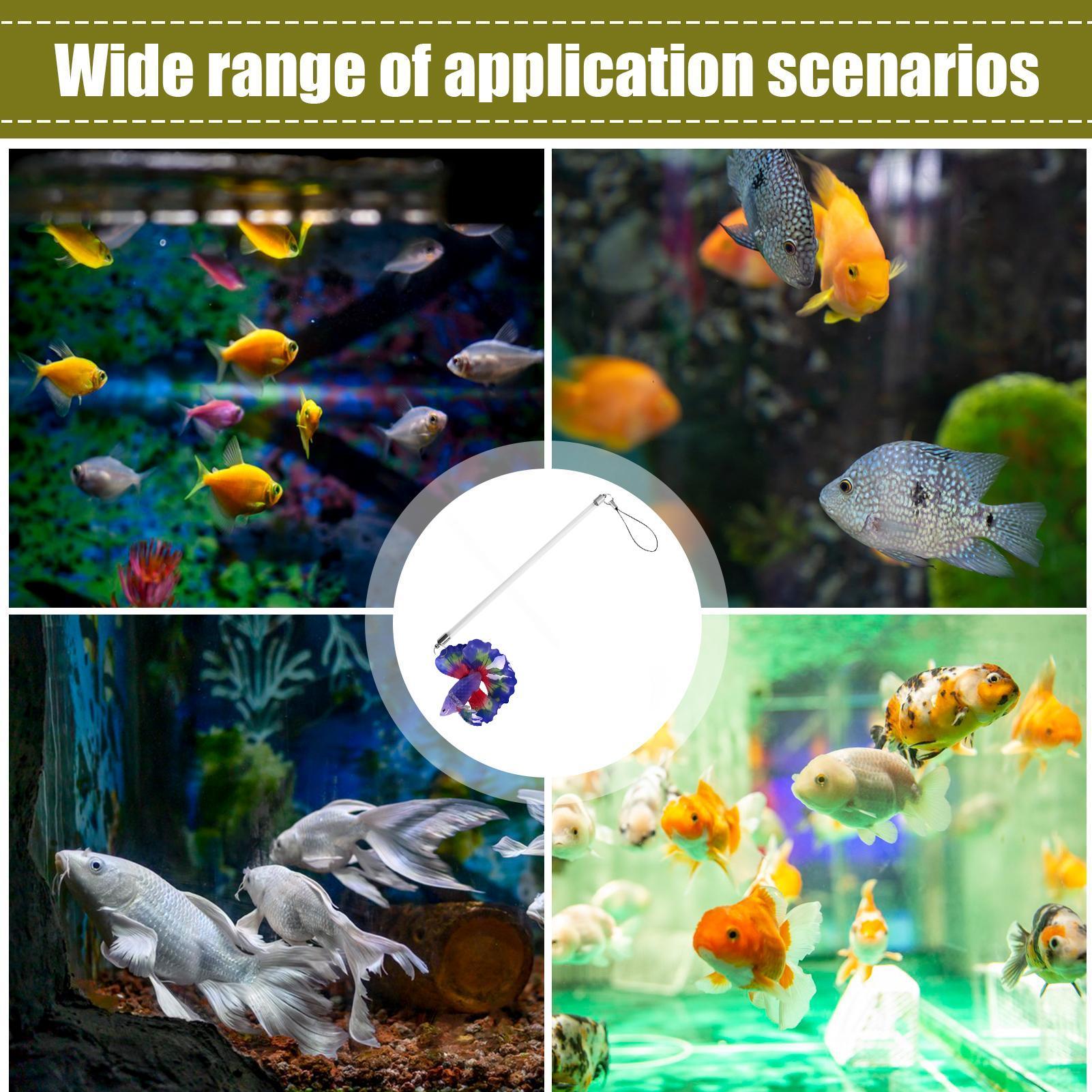 Fish Training Wand Realistic A - Planted Aquarium For Beginners ulasan dan harga