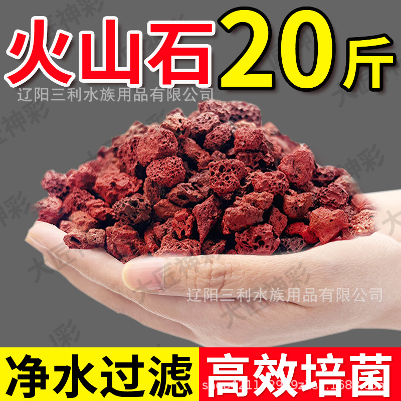 Natural Porous Red Lava Rock A - Aquarium Planted Tank Soil ulasan dan harga