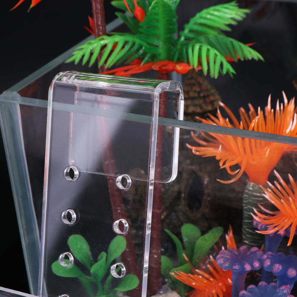 Wall Hanging Aquarium Plants C - Aquarium Planted Wall ulasan dan harga
