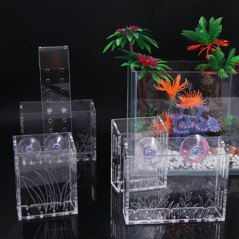 Wall Hanging Aquarium Plants C - Aquarium Planted Wall ulasan dan harga