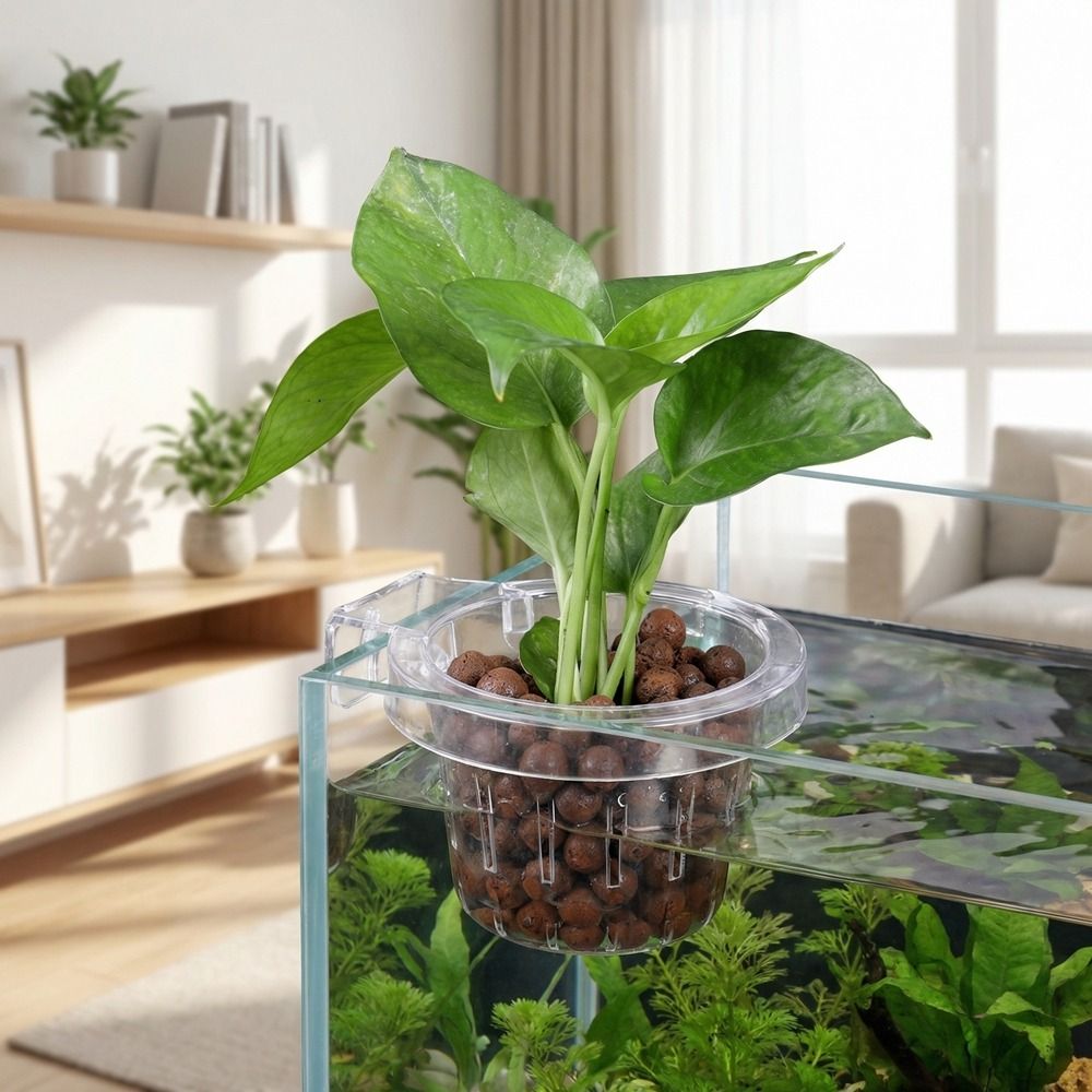 Transparent Fish Tank Grass Cu - Aquarium Planted Wall ulasan dan harga