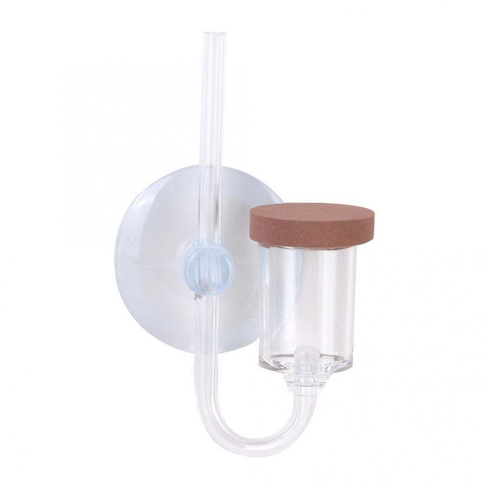 Acrylic Mini Fish Tank Live Pl - Planted Aquarium Accessories ulasan dan harga