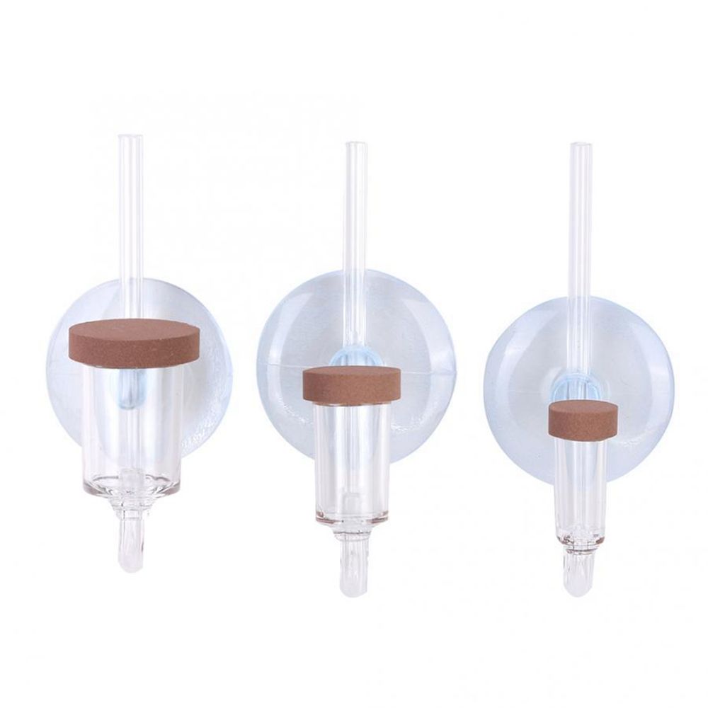 Acrylic Mini Fish Tank Live Pl - Planted Aquarium Accessories ulasan dan harga