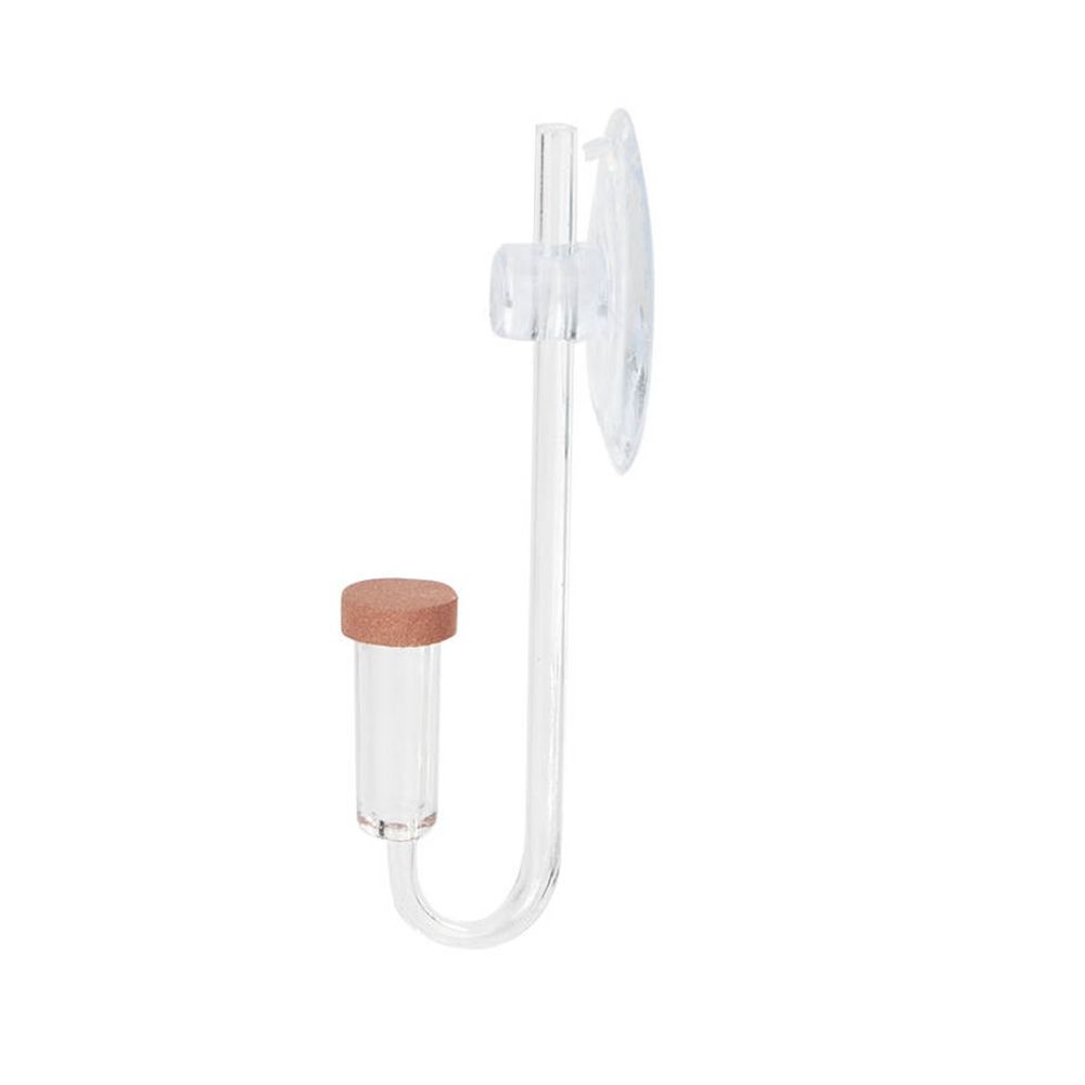 Acrylic Mini Fish Tank Live Pl - Planted Aquarium Accessories ulasan dan harga