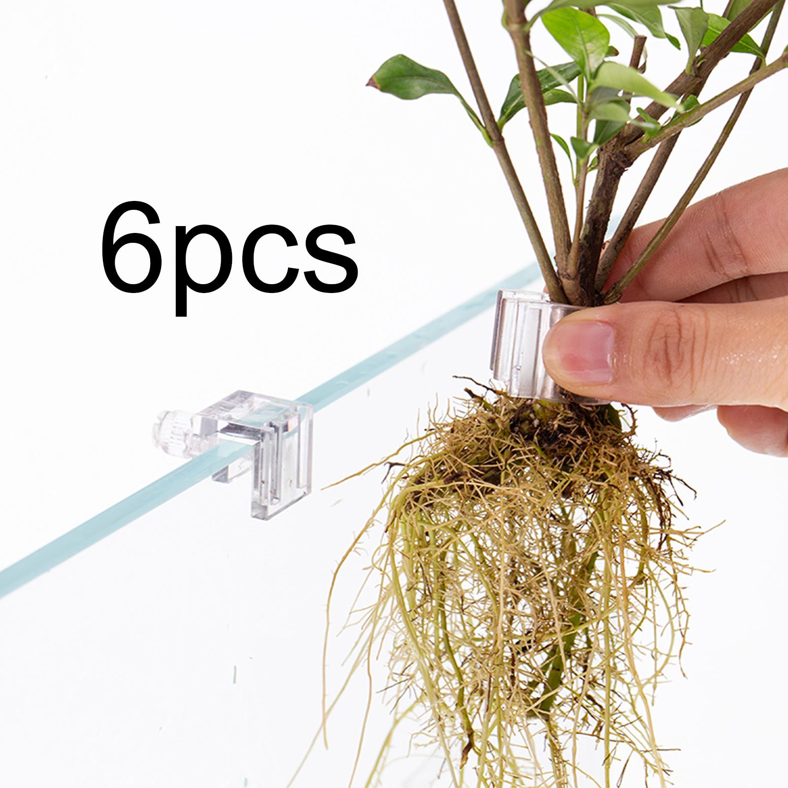 Durable Transparent Plant Hold - Aquarium Planted Wall ulasan dan harga