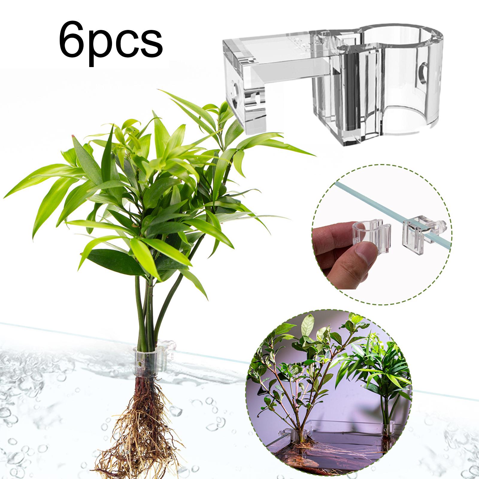 Durable Transparent Plant Hold - Aquarium Planted Wall ulasan dan harga