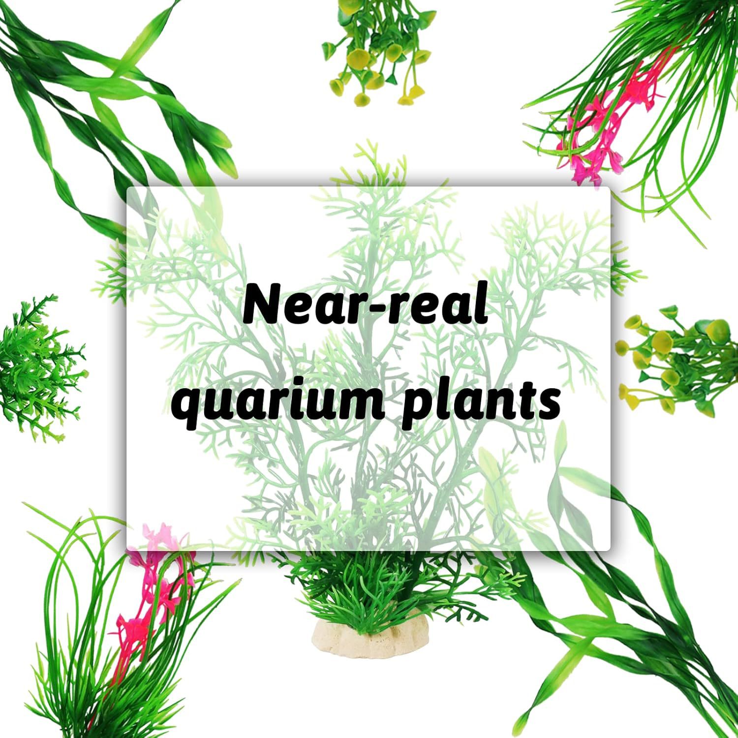 Artificial Aquarium Plants Set - Planted Aquarium For Beginners ulasan dan harga